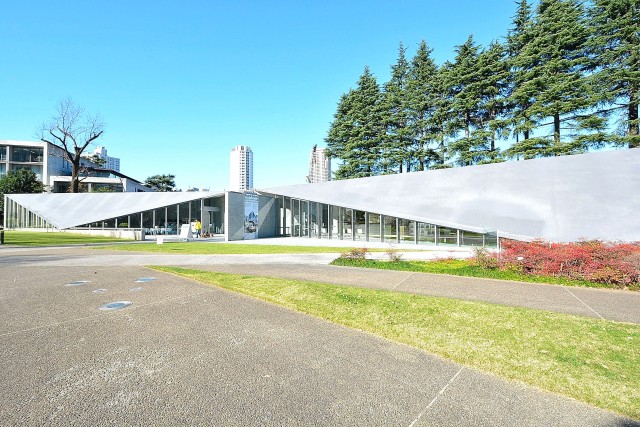 マグノリア　周辺