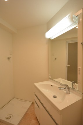 チュリス氷川坂　サニタリールーム