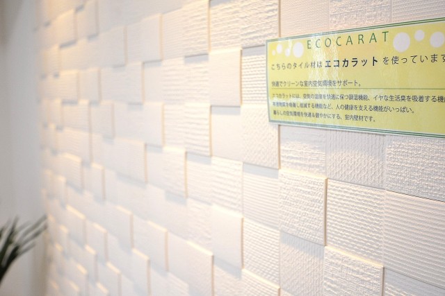 ライオンズマンション南平台　5.5帖洋室のエコカラット