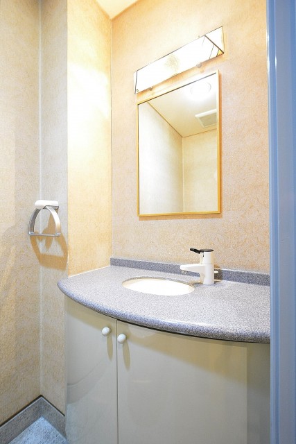 レジェンド南青山ガーデン　トイレ手洗い場