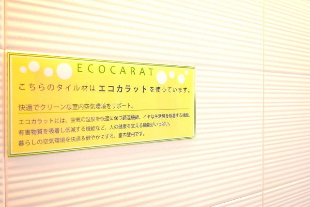 シャトー赤坂台　13.2帖LDKのエコカラット