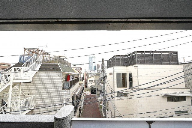 レジェンド南青山ガーデン　ＬＤバルコニーの眺望