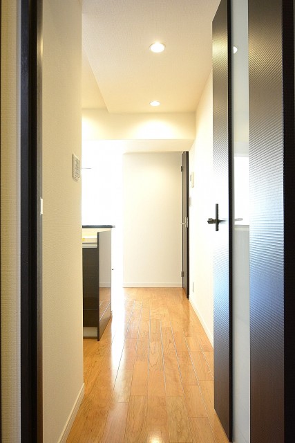 シャトー赤坂台　LDKドア