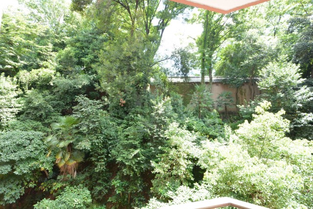 チュリス氷川坂　自然