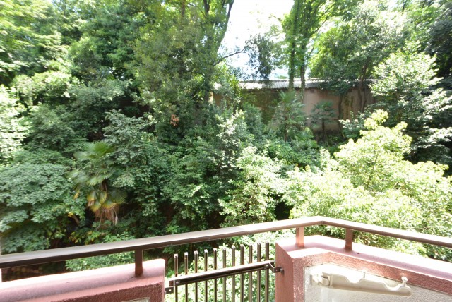 チュリス氷川坂　自然