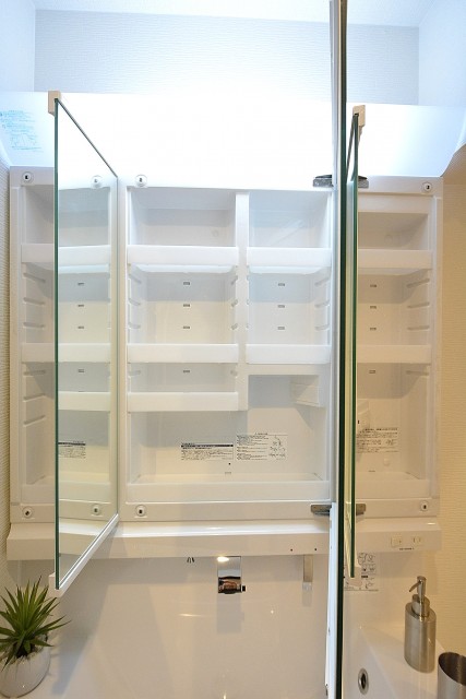 シャトー赤坂台　三面鏡裏収納