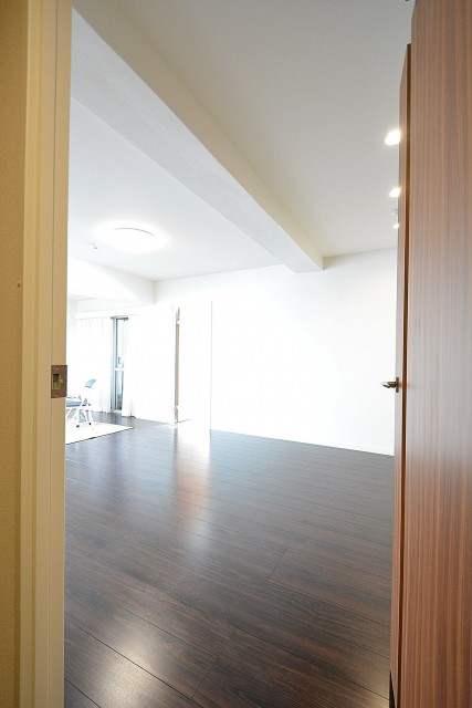 西麻布ハイツ　LDKドア