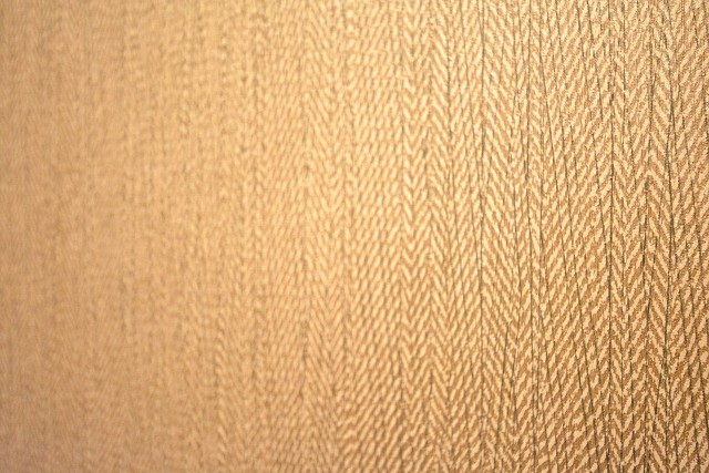 シャトー赤坂台　トイレのアクセントクロス