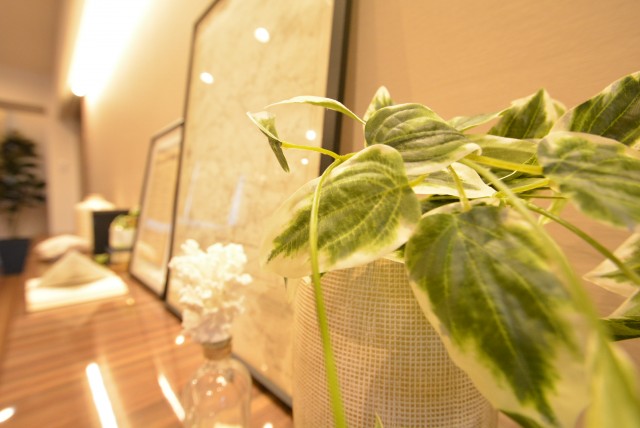 六本木ハイツ　リビング