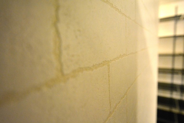 クレール島津山　壁面