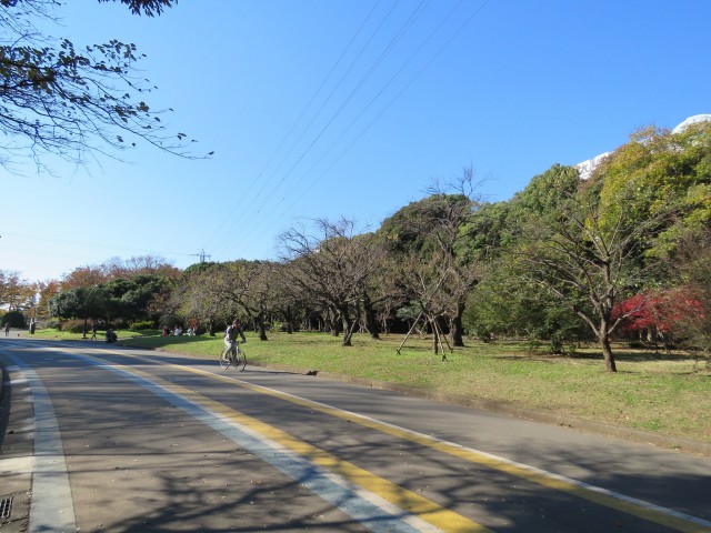 シャトレー駒沢　駒沢オリンピック公園