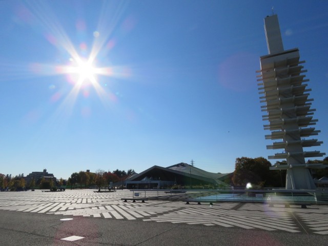 駒沢コーポラス　駒沢オリンピック公園