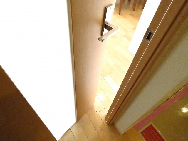 学芸大ハイツ　DK扉