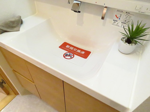 学芸大ハイツ　洗面ボウル