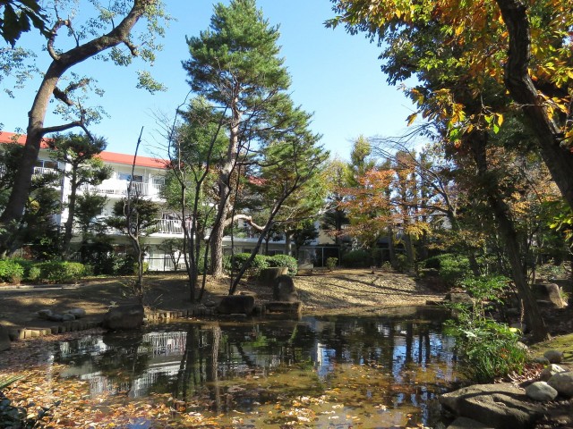 駒沢ガーデンハイツ　駒沢緑泉公園
