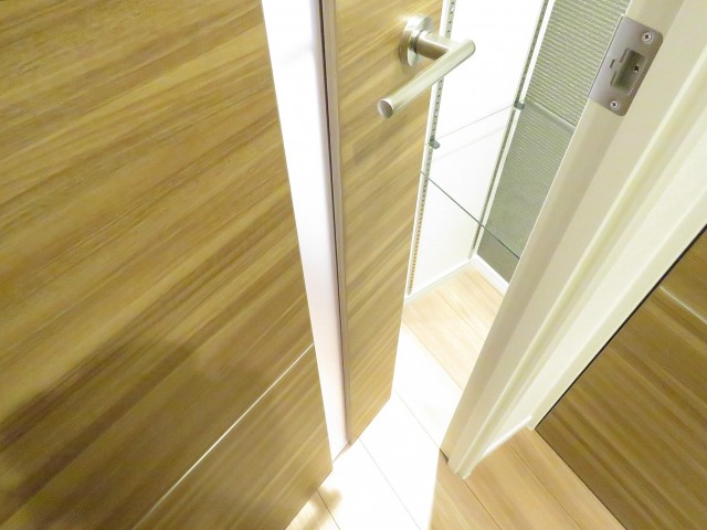 ヴェラハイツ新宿　DK扉