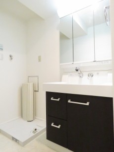 ユニーブル柿の木坂　洗濯機置場と洗面化粧台