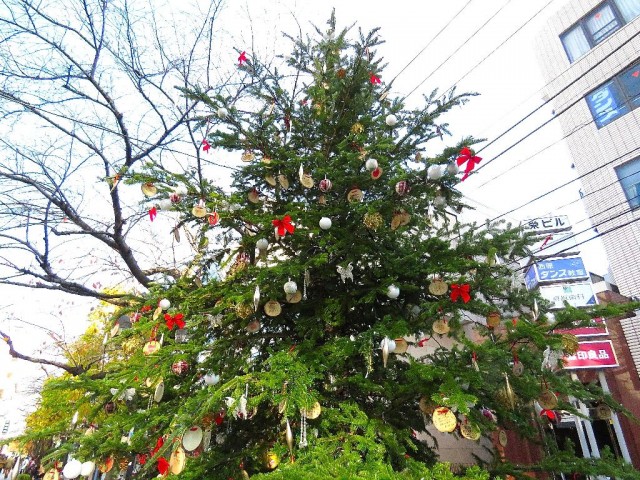 魚菜エステート　周辺