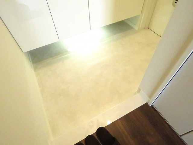 魚菜エステート　玄関ホール