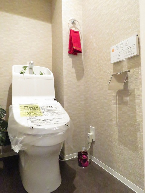 ニューウェルハイツ奥沢　トイレ