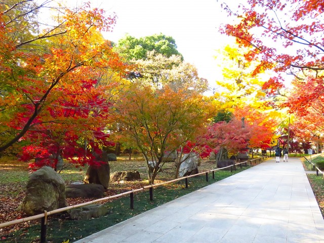 ニューウェルハイツ奥沢　九品仏浄真寺