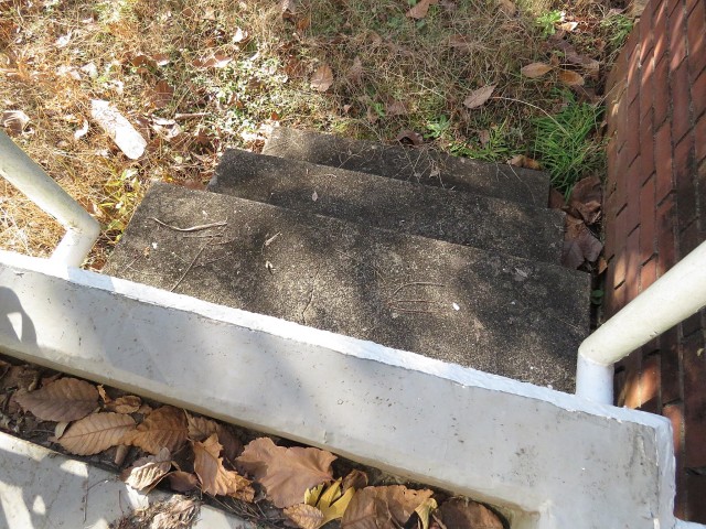 駒沢ガーデンハイツ　専用庭