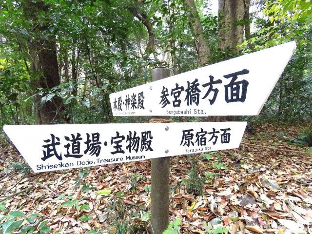 シティハウス代々木参宮橋　明治神宮