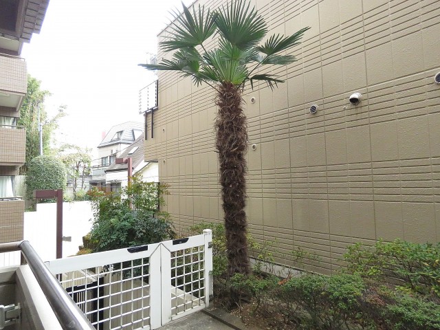 ロイヤルステージ大塚　眺望