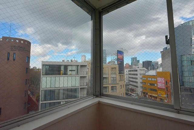 西麻布ハイツ701号室 洋室5.3帖 (6)