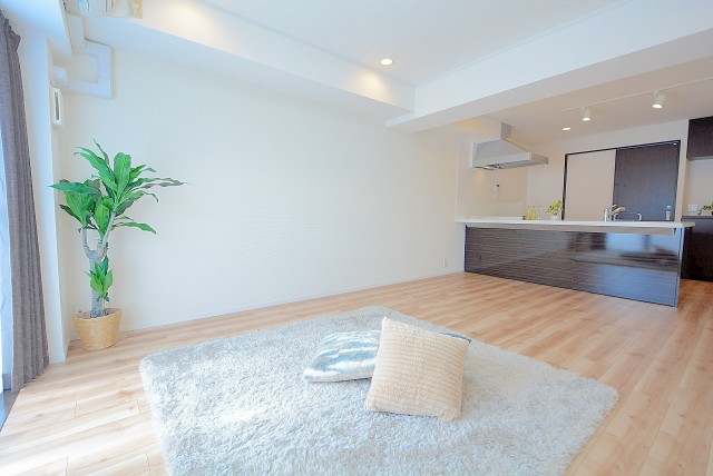 サンロイヤル東山 LD