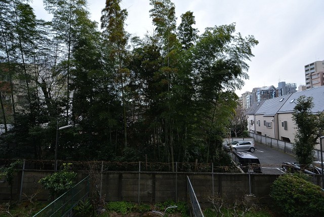 駒沢コーポラス バルコニー (5)