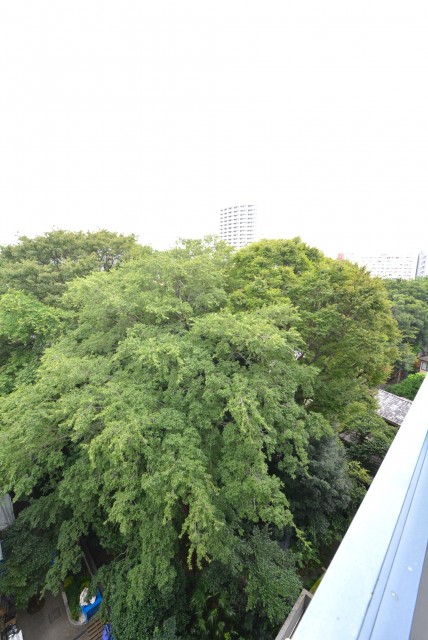 池袋シティハイツ バルコニー