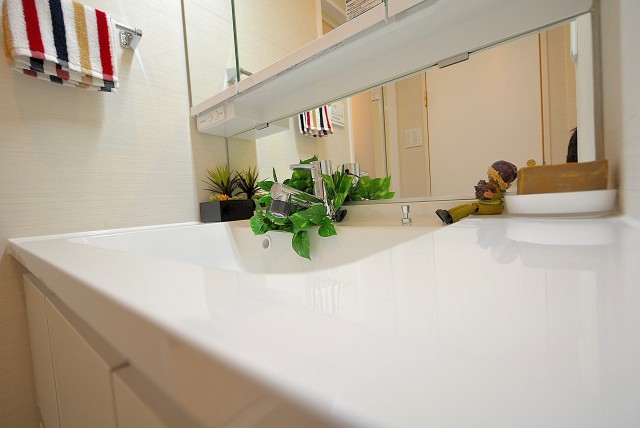 シャンボール尾山台 (43)　洗面