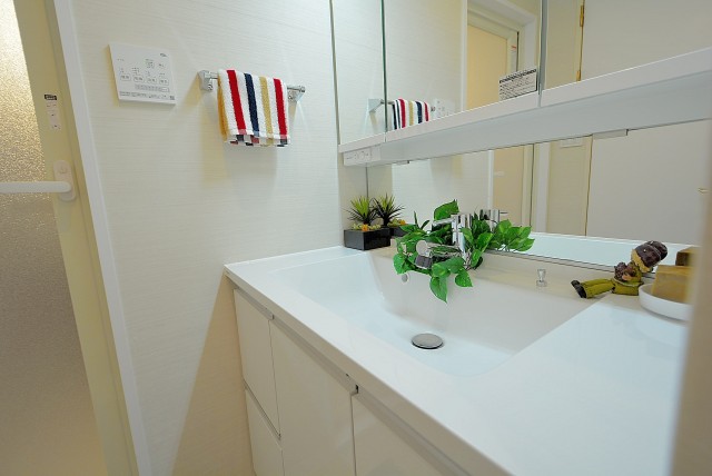 シャンボール尾山台 　洗面