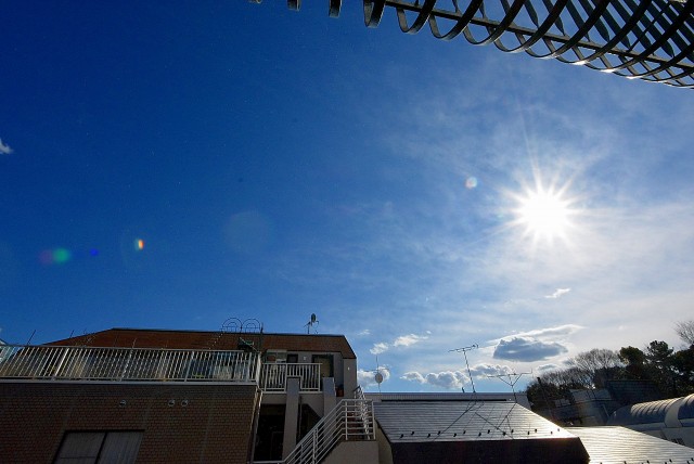 秀和第二神宮レジデンス バルコニー (6)