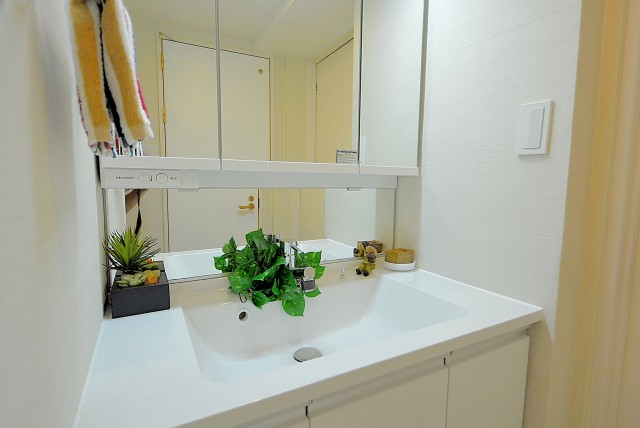 シャンボール尾山台 　洗面