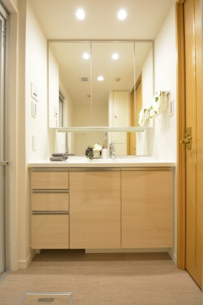 藤和三軒茶屋ホームズ 洗面室