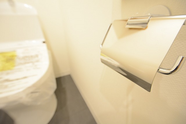 ライオンズマンション南平台 トイレ