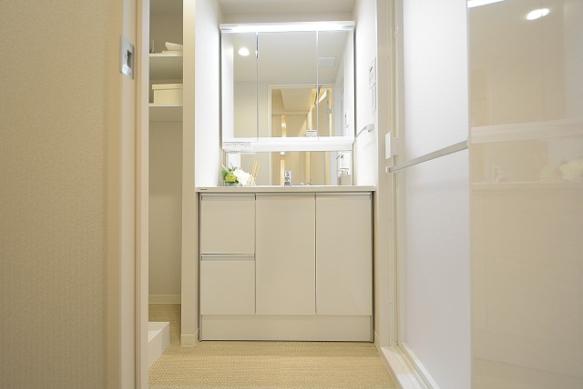 レック芝公園マンション 洗面