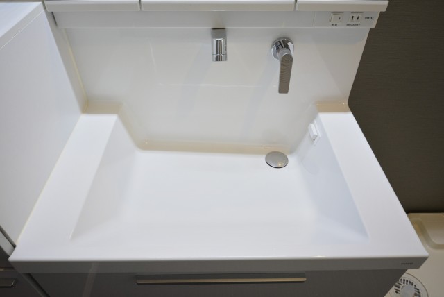 パレ二子玉川 洗面室