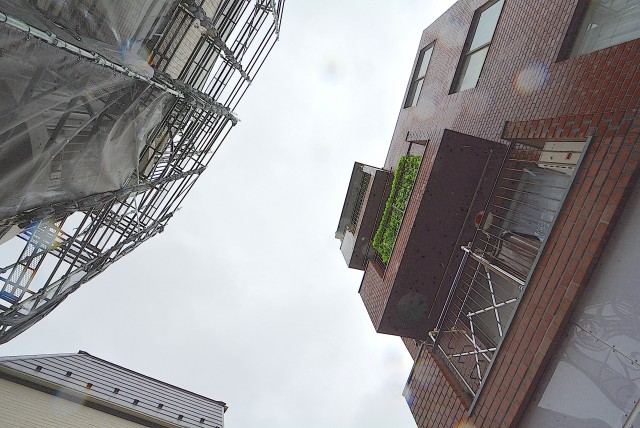 成城オリンピックマンション 専用庭