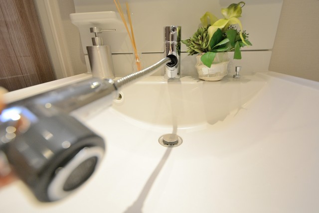 学芸大ハイツ (54)