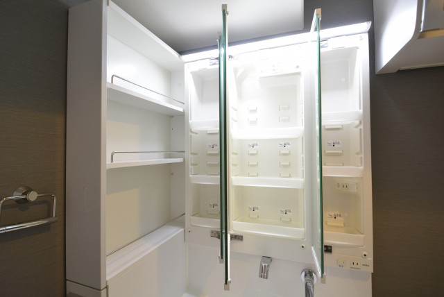 パレ二子玉川 洗面室