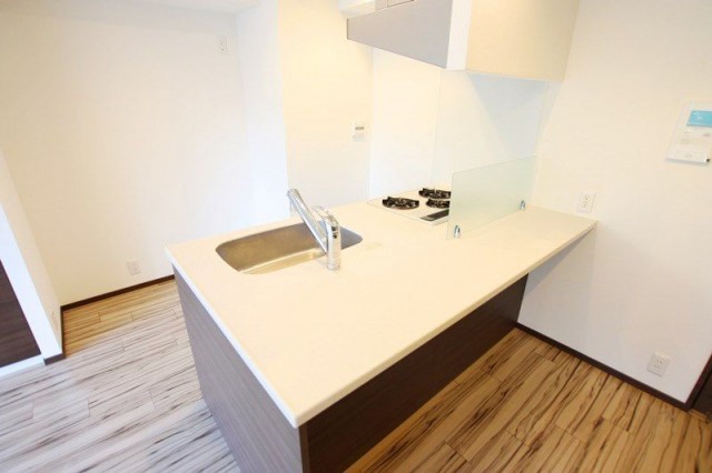 レックス勝どきプレミアレジデンス304　キッチン