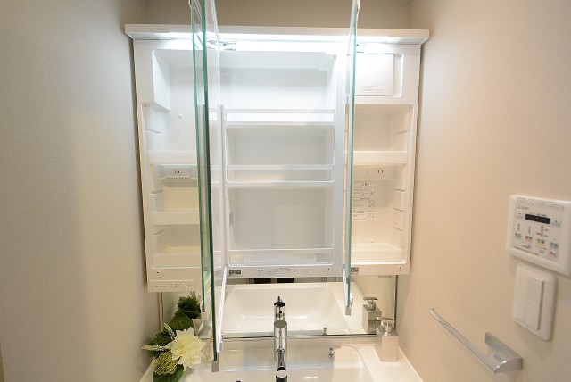 レック芝公園マンション 洗面