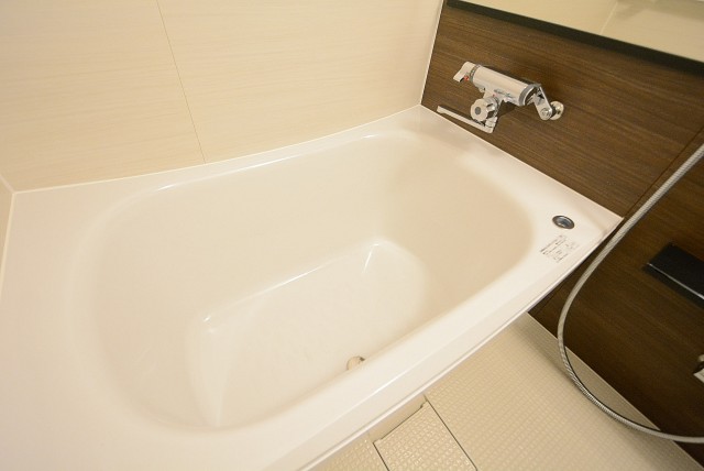 アイタウン ・レピア　バス