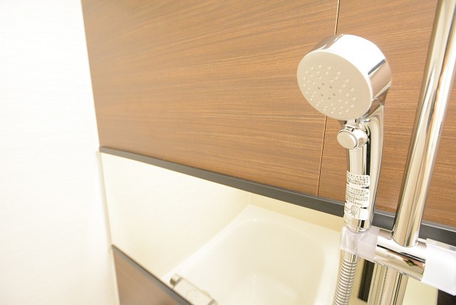 アイタウン ・レピア　バス