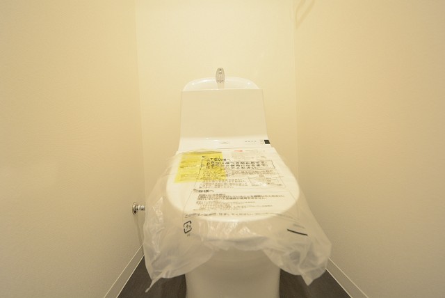 ライオンズマンション南平台 トイレ