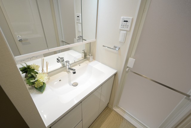 レック芝公園マンション 洗面