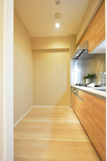 シティ麻布　独立キッチン